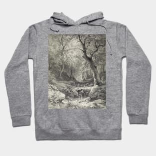 Forest Scene Pencil Illustration Hoodie